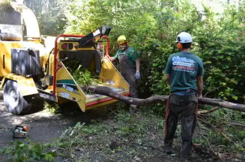 tree services The Acreage